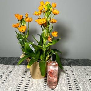 THE BODY SHOP PINK GRAPEFRUIT BODY MIST